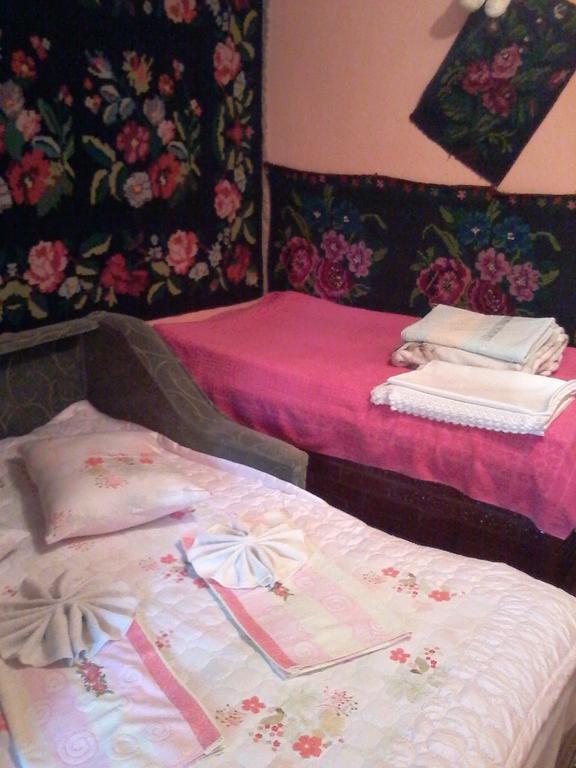 Hôtel La Popas à Orhei Extérieur photo