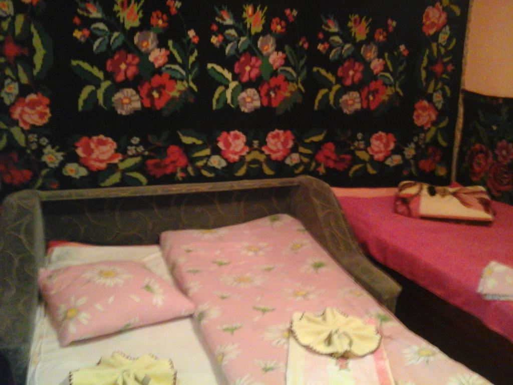 Hôtel La Popas à Orhei Extérieur photo